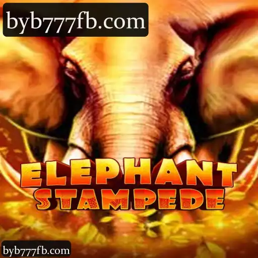 ElephantStampede